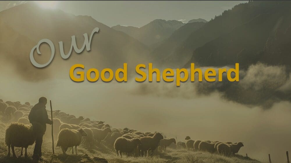 Our Good Shepherd